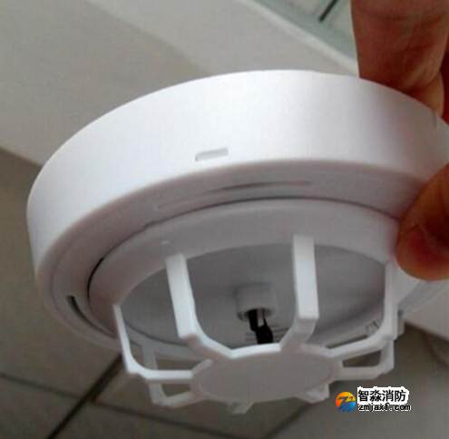 1742880775398195.png image.png